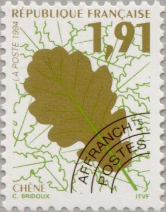 Leaves Tree - Oak