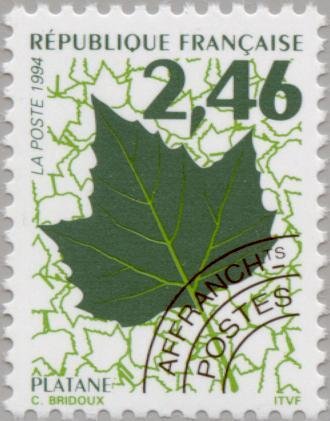 Tree leaves - Plane
