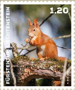 Stamp, Squirrel (Sciuridae), Liechtenstein,  , Animals (Fauna), Mammals, Squirrels