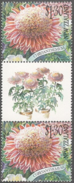 Gutter Pairs, Chrysanthemum - Gutter Pair, New Zealand,  , Flowers, Plants (Flora)