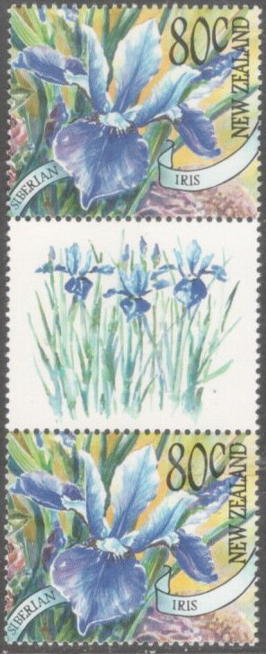 Gutter Pairs, Siberian Iris - Gutter Pair, New Zealand,  , Flowers, Plants (Flora)