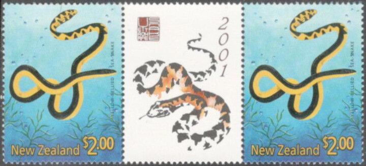 Yellow-bellied Sea Snake (Pelamis platura)- Gutter Pair