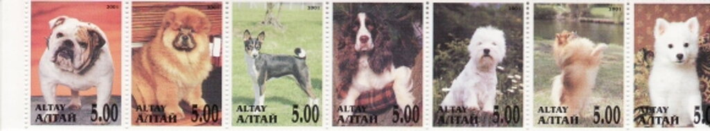 Dogs