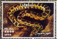 Snake