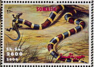 Snake