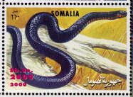 Stamp, Snake, Somalia,  , Animals (Fauna), Reptiles, Snakes