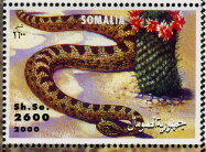 Snake