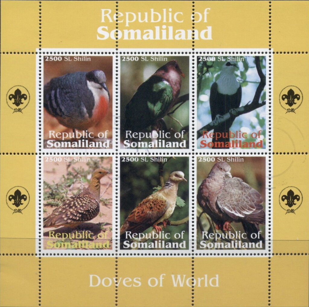 Birds Doves of the World