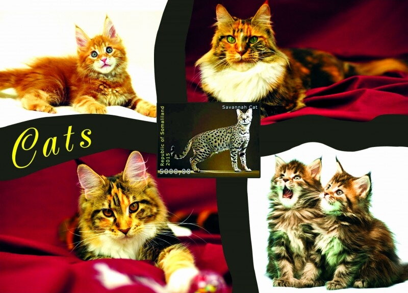 Cats