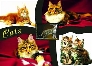 Souvenir Sheet, Cats, Somaliland,  , Animals (Fauna), Cats