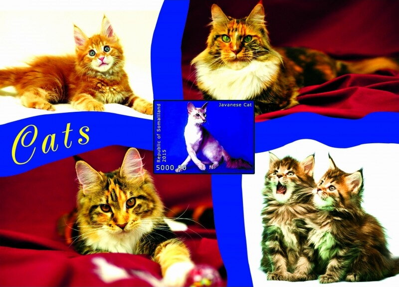 Cats
