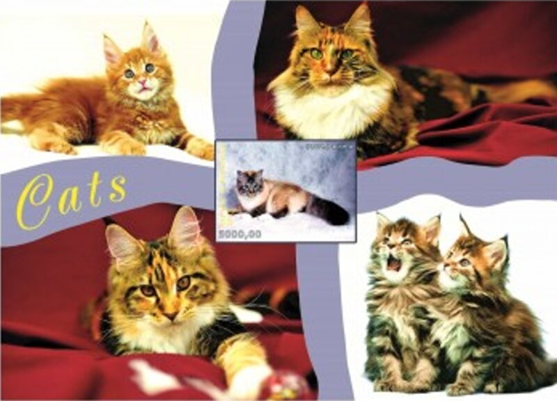 Cats