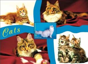 Souvenir Sheet, Cats, Somaliland,  , Animals (Fauna), Cats