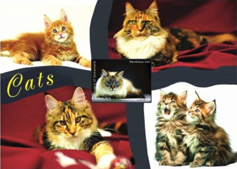 Cats