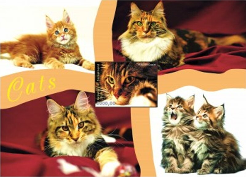 Cats