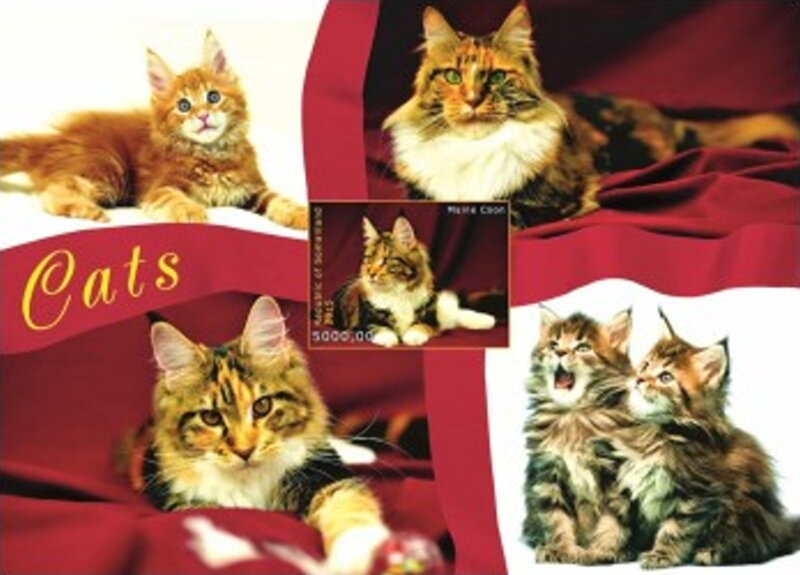 Cats
