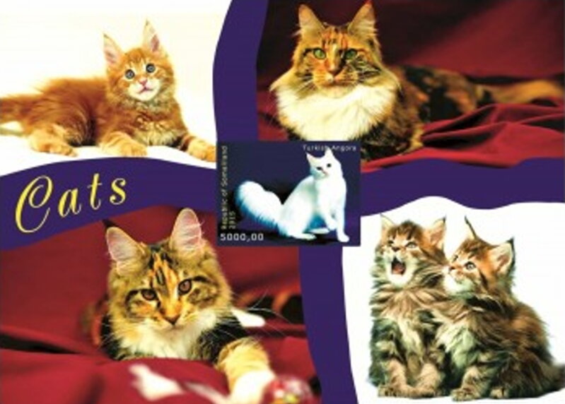 Cats