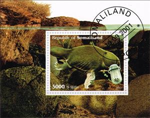 Souvenir Sheet, Platypus, Somaliland,  , Animals (Fauna)