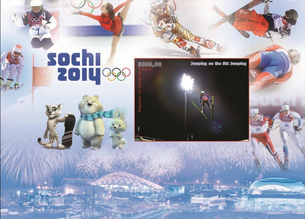 Winter Olympic Games in Sochi