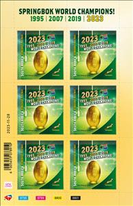 Full Pane, South Africa World Rugby Champions 2023, South Africa,  , Flags, Rugby