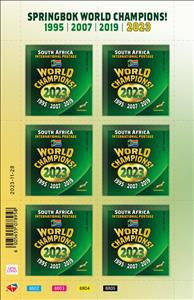 Full Pane, South Africa World Rugby Champions 2023, South Africa,  , Flags, Rugby