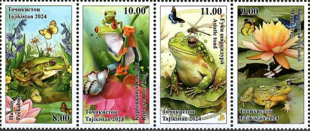 Frogs