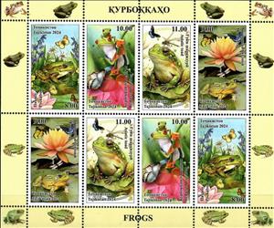 Full Pane, Frogs, Tajikistan,  , Animals (Fauna), Frogs