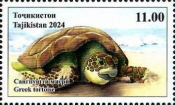 Greek Turtle