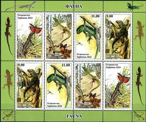 Full Pane, Lizards, Tajikistan,  , Animals (Fauna), Lizards