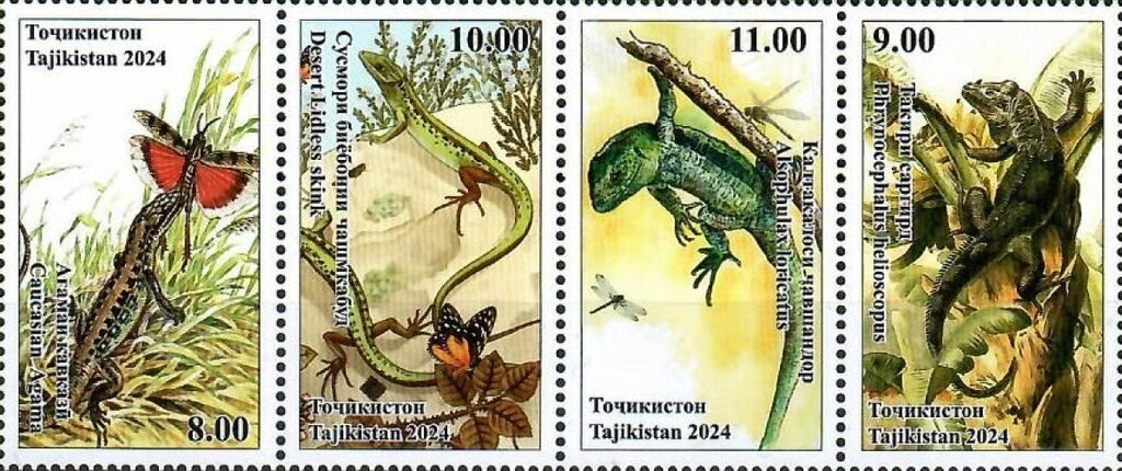 Lizards