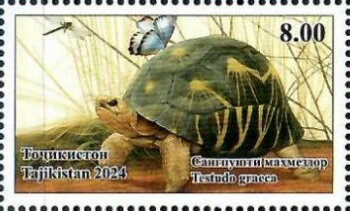 Stamp, Tetsudo graeca, Tajikistan,  , Animals (Fauna), Reptiles, Turtles