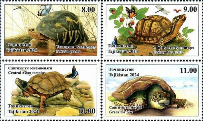 Turtles