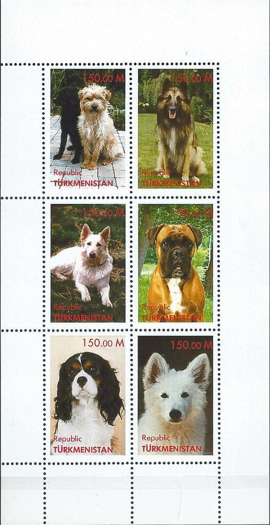Dogs
