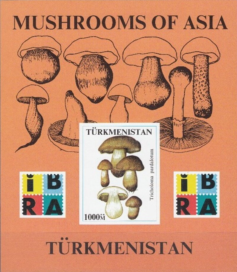 Mushrooms of Asia