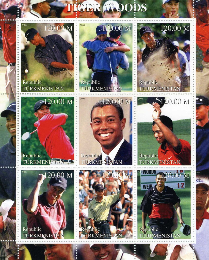 Tiger Woods Golf