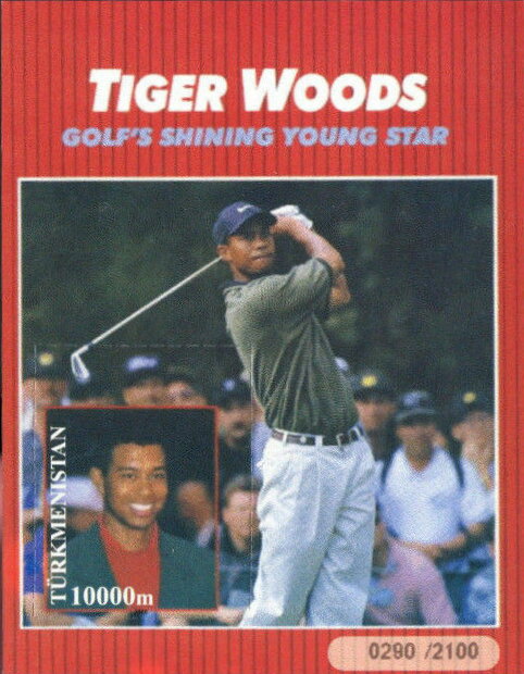 Tiger Woods Golf's Shining Young Star