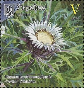Stamp, Thistleweed (Carlina cirsioides), Ukraine,  , Plants (Flora)