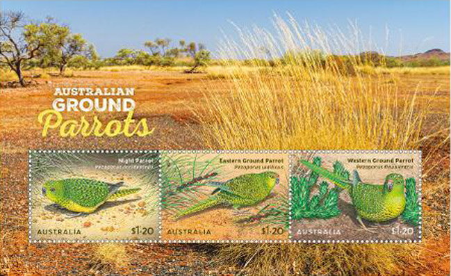 Ground Parrots