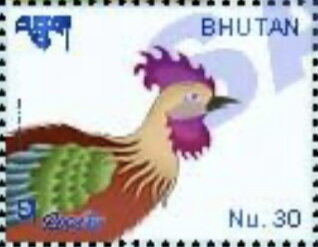 Rooster