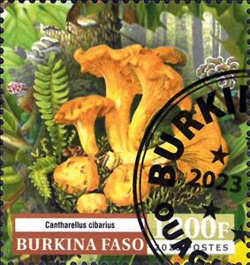 Stamp, Cantharellus cibarius, Burkina Faso,  , Mushrooms