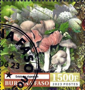 Stamp, Entoloma clypeacum, Burkina Faso,  , Mushrooms