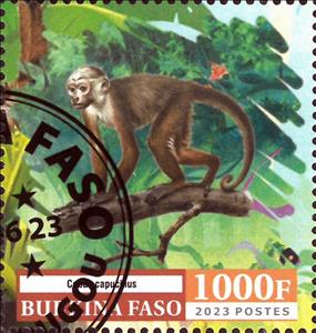 Stamp, Monkeys, Burkina Faso,  , Animals (Fauna), Mammals, Monkeys