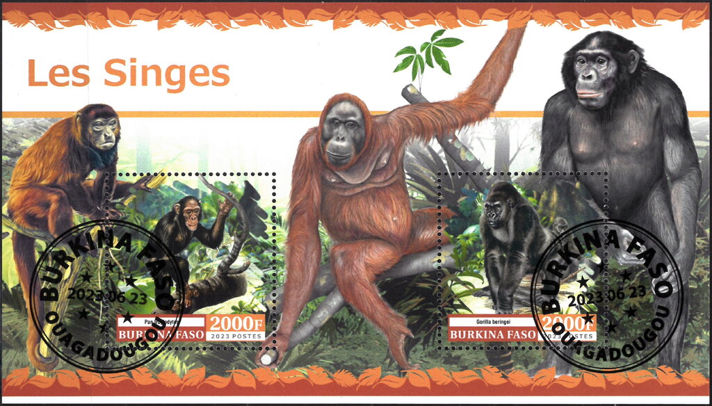 Monkeys