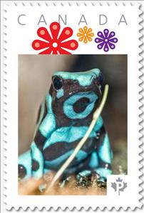 Stamp, Aqua Green Dart Frog, Canada,  , Amphibians, Animals (Fauna), Frogs