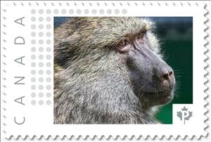 Stamp, Baboon, Canada,  , Animals (Fauna), Monkeys