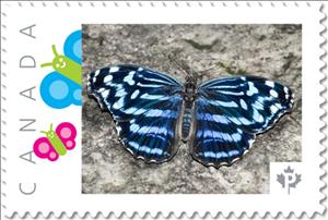 Stamp, Blue Cracker Butterfly, Canada,  , Animals (Fauna), Butterflies and Moths, Insects
