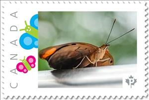 Stamp, Butterfly, Canada,  , Animals (Fauna), Butterflies and Moths, Insects