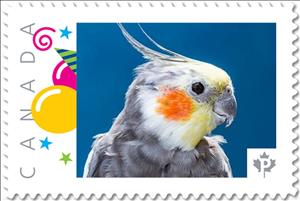 Stamp, Cockatiel, Canada,  , Animals (Fauna), Birds, Parrots