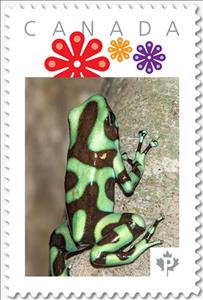 Stamp, Green Dart Frog, Canada,  , Amphibians, Animals (Fauna), Frogs