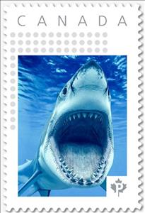 Stamp, Shark Jaws, Canada,  , Animals (Fauna), Fishes, Sharks